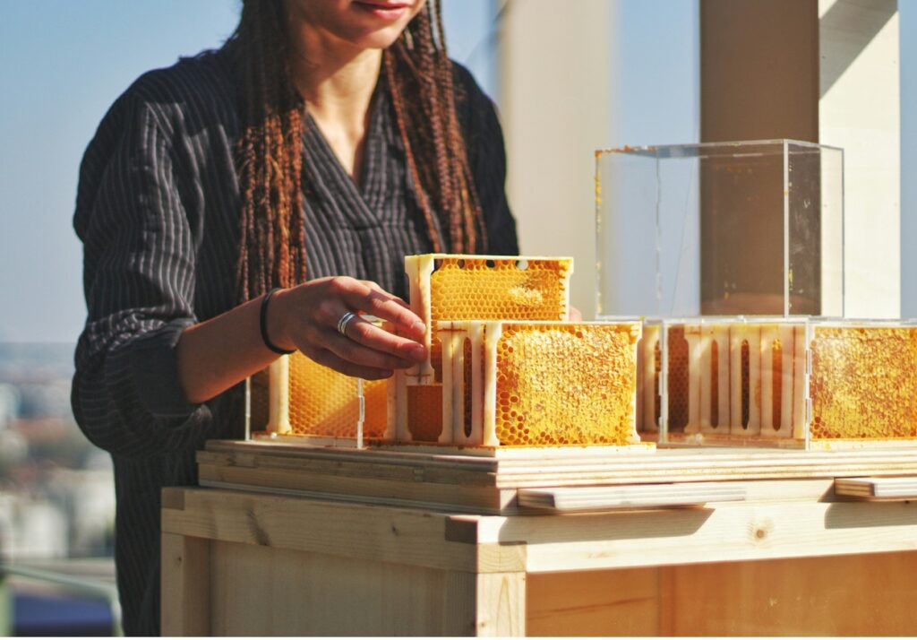 What is Nectar Bakes' vegan honey? - Image of our founder and vegan honey from the nests of our ethical farms